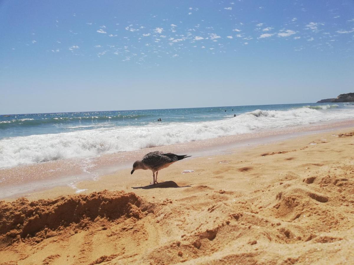 Apartamento Do Algarve アルマカオ・デ・ペラ エクステリア 写真