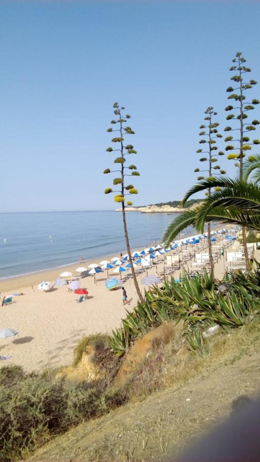 Apartamento Do Algarve アルマカオ・デ・ペラ エクステリア 写真