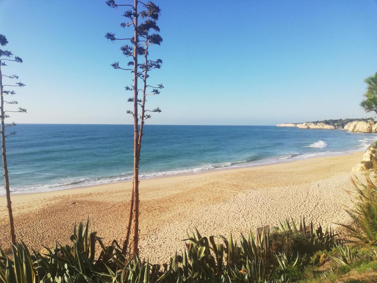 Apartamento Do Algarve アルマカオ・デ・ペラ エクステリア 写真