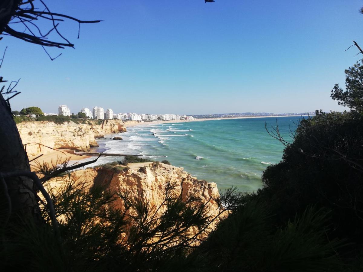 Apartamento Do Algarve アルマカオ・デ・ペラ エクステリア 写真