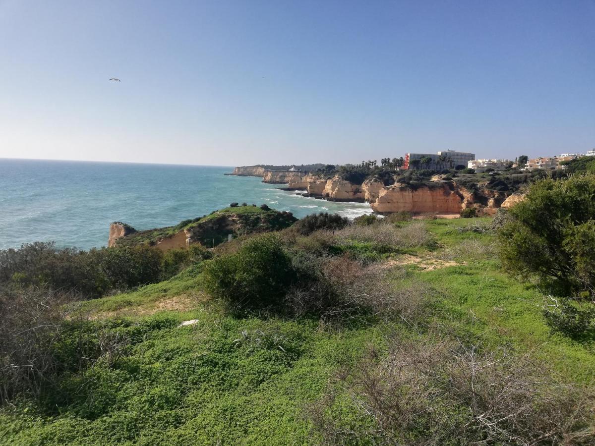 Apartamento Do Algarve アルマカオ・デ・ペラ エクステリア 写真